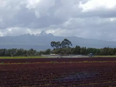 Консолі виробництва Briggs Irrigation (Великобританія) Консолі виробництва Briggs Irrigation (Великобританія)